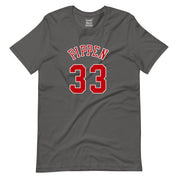 Scottie 33 Pippen Classic T-Shirt